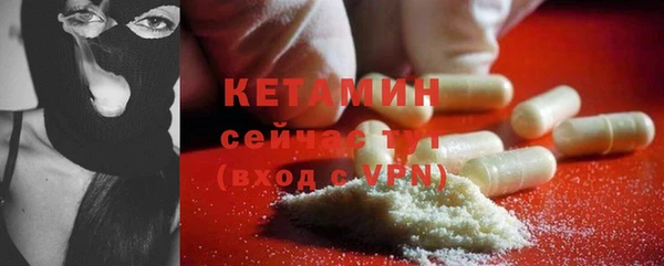 шишки Богородицк