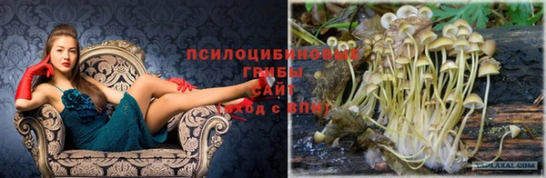 альфа пвп VHQ Богданович