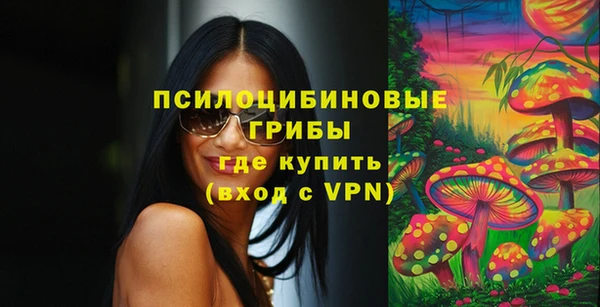 MDMA Верхний Тагил