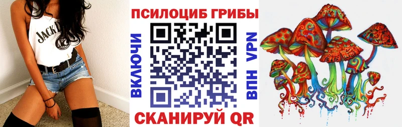 OMG ТОР  Каменка  Псилоцибиновые грибы GOLDEN TEACHER  где купить  